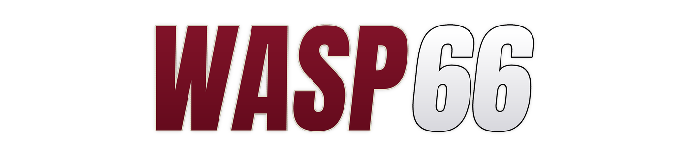 wasp66